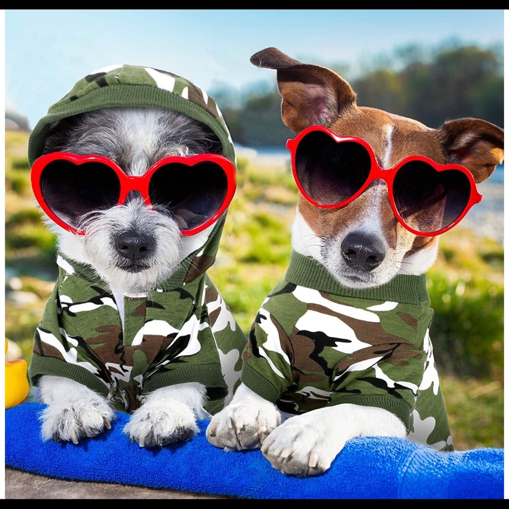 Puppy Dog Camo shirts outfit hoodie set camouflage - Picture 2 of 6